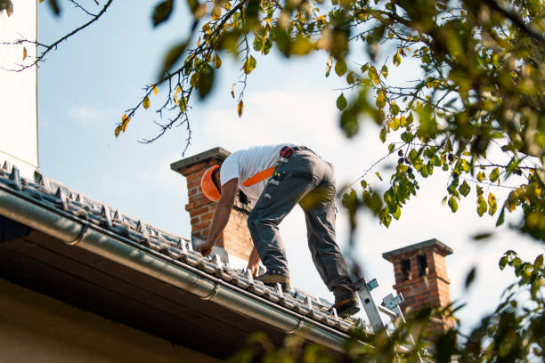 Best Metal Roofing Contractor  in Six Shooter Canyon, AZ